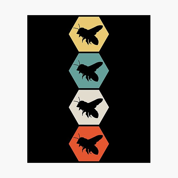 Beekeeping Photographic Print