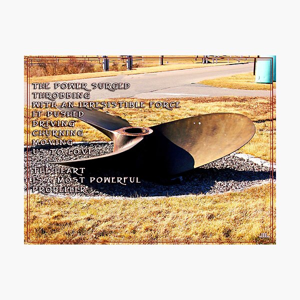 Item preview, The Propeller designed and sold by Tricia Stucenski.