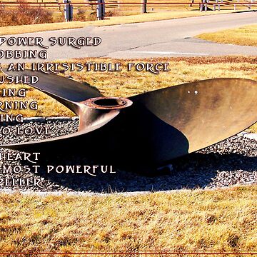 Artwork thumbnail, The Propeller by Tricia Stucenski