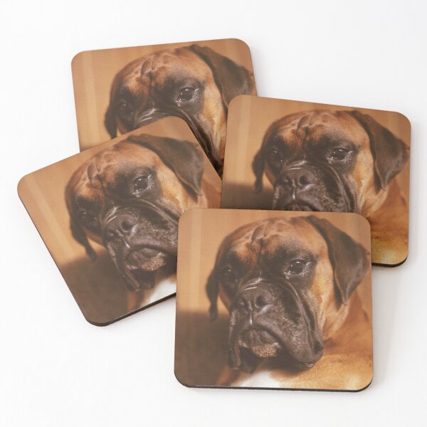 Item preview, the boxer designed and sold by Robert Elfferich.