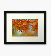 Nature creation: On Featured: The-women-photographer Group Framed Print