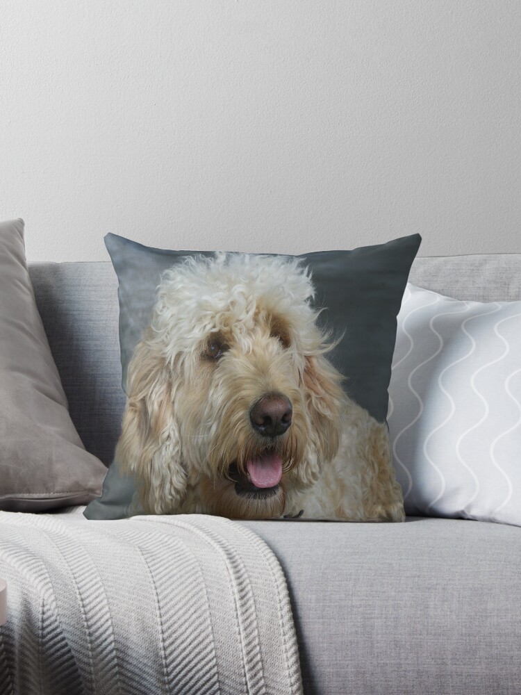 labradoodle pillow