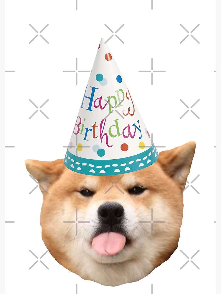 canidae grain free under the sun