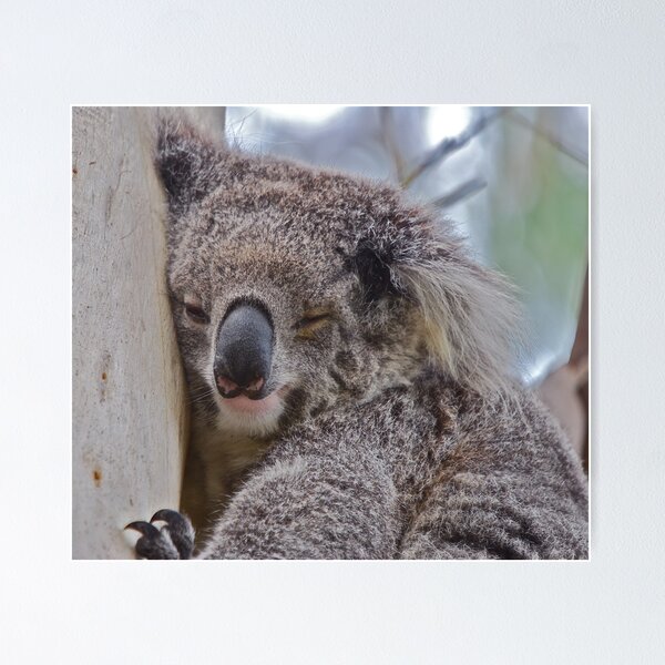 Item preview, Whats that clicking noise! designed and sold by Warren  Patten.