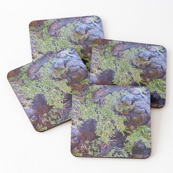 Item preview, Bark detail designed and sold by ladytgaj.