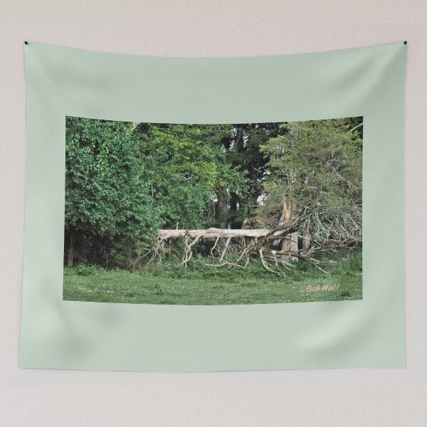 Item preview, "Natural Fencing," Photo, for prints and products designed and sold by Bob Hall©.
