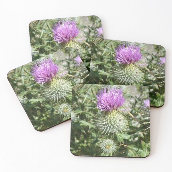 Item preview, Scottish thistle designed and sold by Theconkertree.