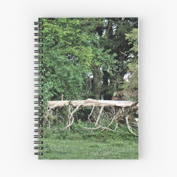 Item preview, "Natural Fencing," Photo, for prints and products designed and sold by Bob Hall©.