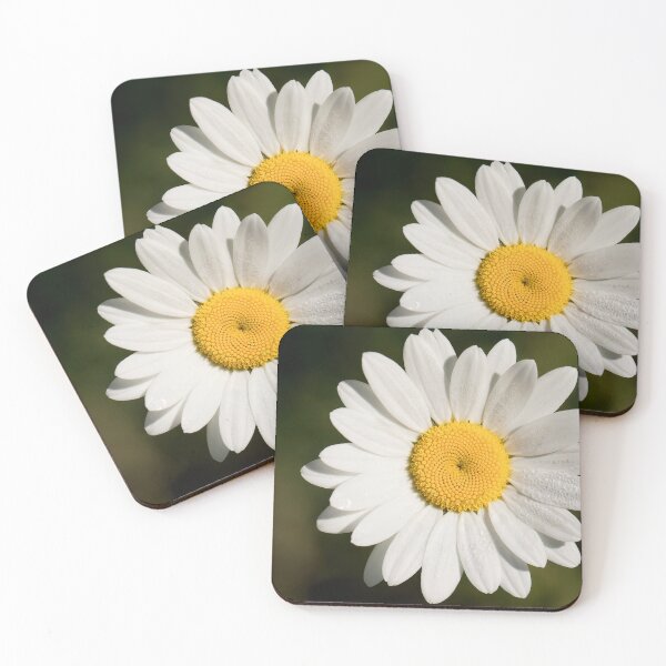 Item preview, Dew covered Ox-eye Daisy designed and sold by Violaman.