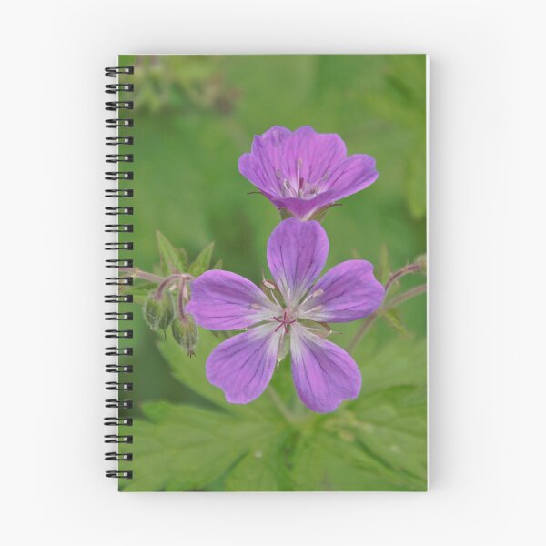 Item preview, Wood Cranesbill designed and sold by svehex.
