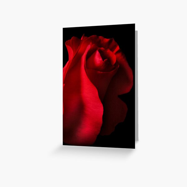 You Kissed My Soul Greeting Card