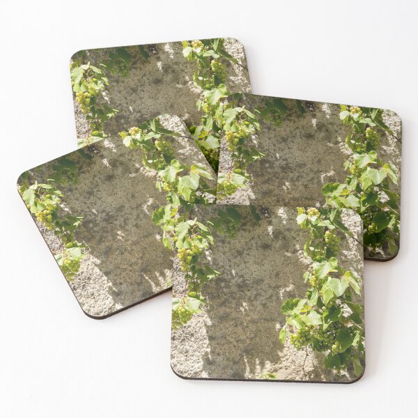 Item preview, Unusual Grape Harvest - Grapevines Trailing Down a Rough Wall designed and sold by Georgia Mizuleva.