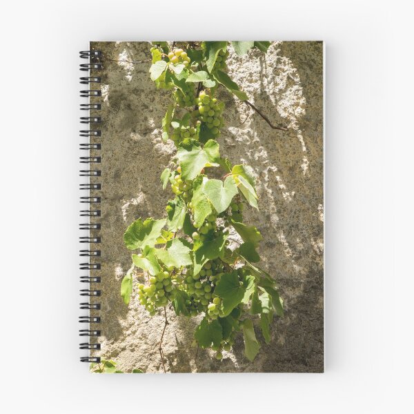 Item preview, Unusual Grape Harvest - Grapevines Trailing Down a Rough Wall designed and sold by Georgia Mizuleva.