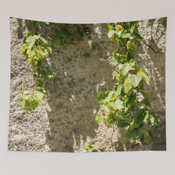 Item preview, Unusual Grape Harvest - Grapevines Trailing Down a Rough Wall designed and sold by Georgia Mizuleva.