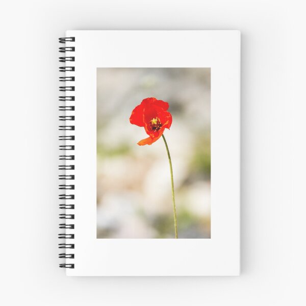 Item preview, Pretty little poppy designed and sold by iks3200.