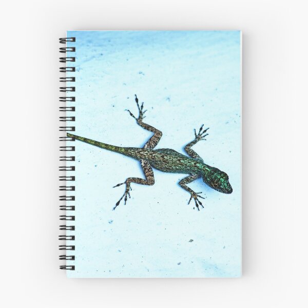 Item preview, Dominican Anole designed and sold by Debbie Oppermann.
