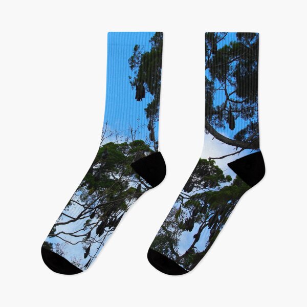 Item preview, Fruit bats in Hervey Bay designed and sold by AHELENE.