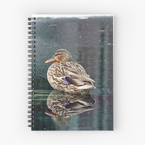 Item preview, Mr And Mrs Mallard designed and sold by Debbie Oppermann.