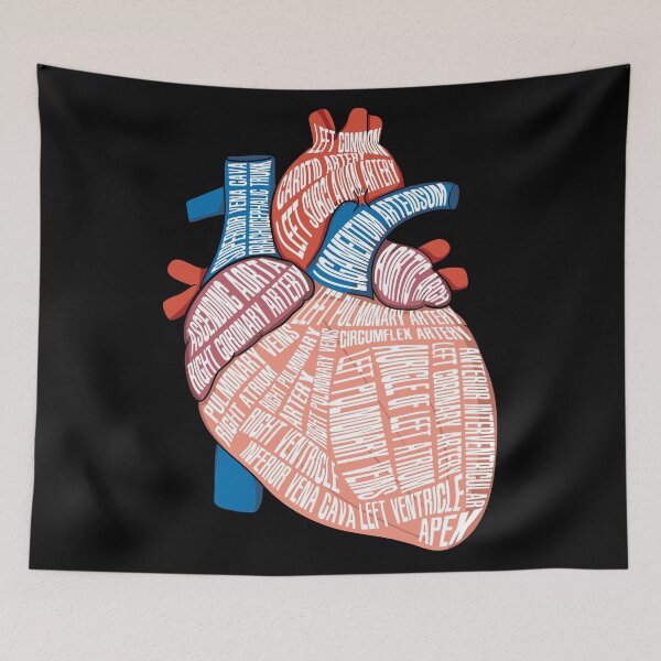 Item preview, Anatomical Heart - For Cardiac Nurse Cardiologists designed and sold by Sandra78.