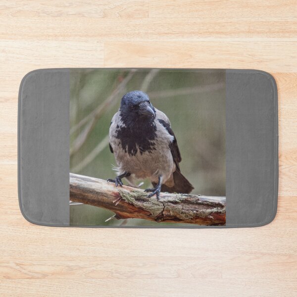 Item preview, Gray jacket gray weather. Hooded Crow designed and sold by Jouko Lehto Photography.