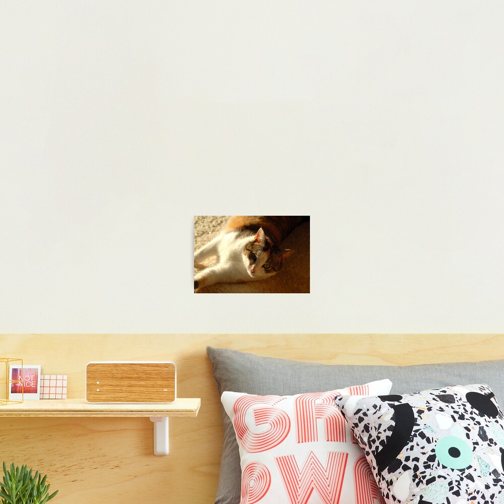 Item preview, Photographic Print designed and sold by vbk70.