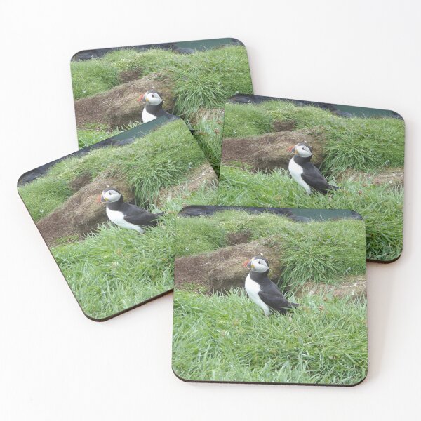 Item preview, Scottish puffin outside burrow designed and sold by Theconkertree.