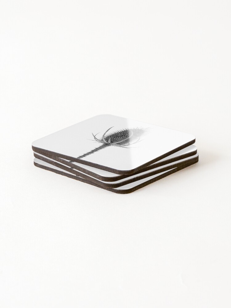 Alternate view of Teasel in Winter Coasters (Set of 4)