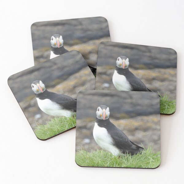 Item preview, Scottish puffin looking thoughtful designed and sold by Theconkertree.