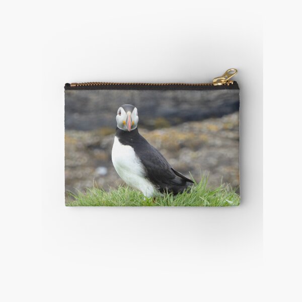 Item preview, Scottish puffin looking thoughtful designed and sold by Theconkertree.
