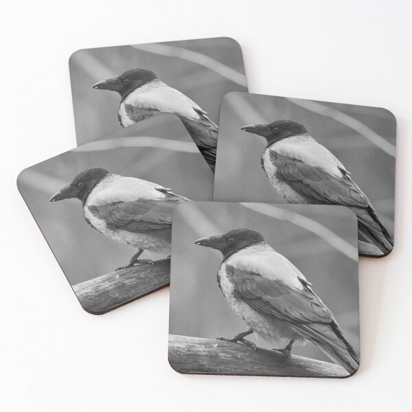 Item preview, Showing the profile. Hooded Crow in bw designed and sold by Jouko Lehto Photography.