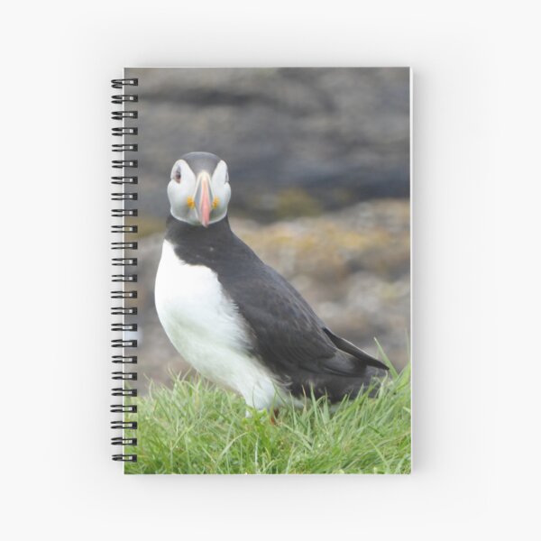 Item preview, Scottish puffin looking thoughtful designed and sold by Theconkertree.