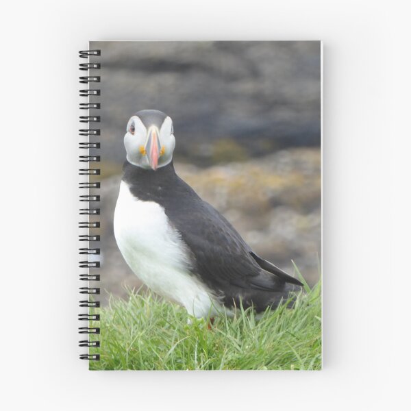 Item preview, Scottish puffin looking thoughtful designed and sold by Theconkertree.