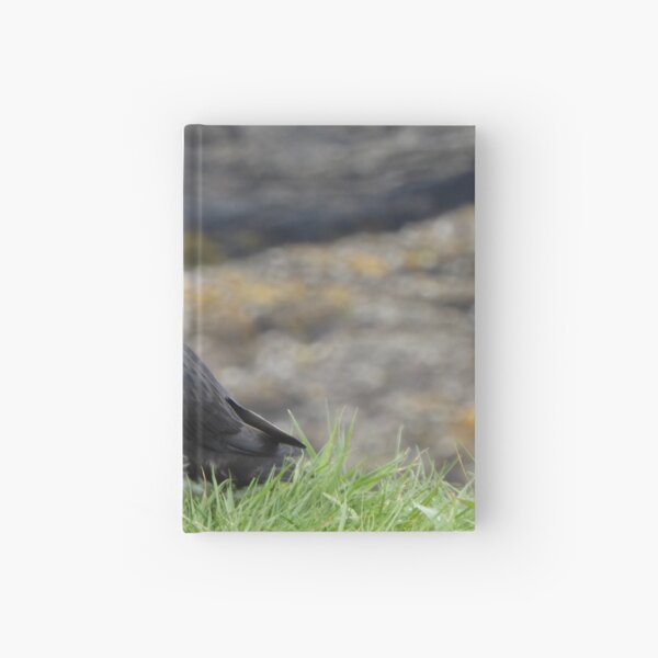 Item preview, Scottish puffin looking thoughtful designed and sold by Theconkertree.