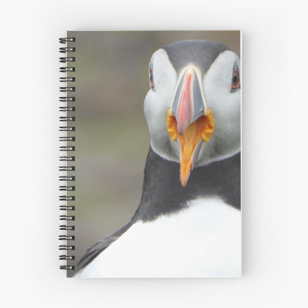 Item preview, Scottish puffin with beak open designed and sold by Theconkertree.