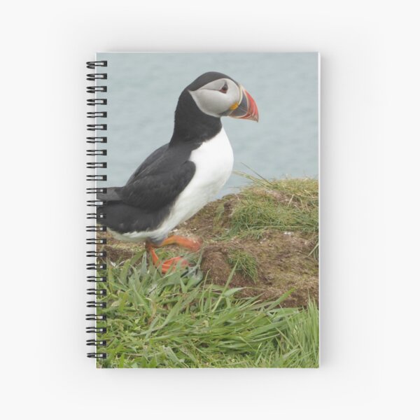 Item preview, Scottish puffin gazing out to sea designed and sold by Theconkertree.