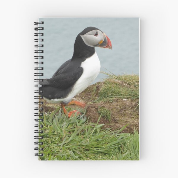 Item preview, Scottish puffin gazing out to sea designed and sold by Theconkertree.
