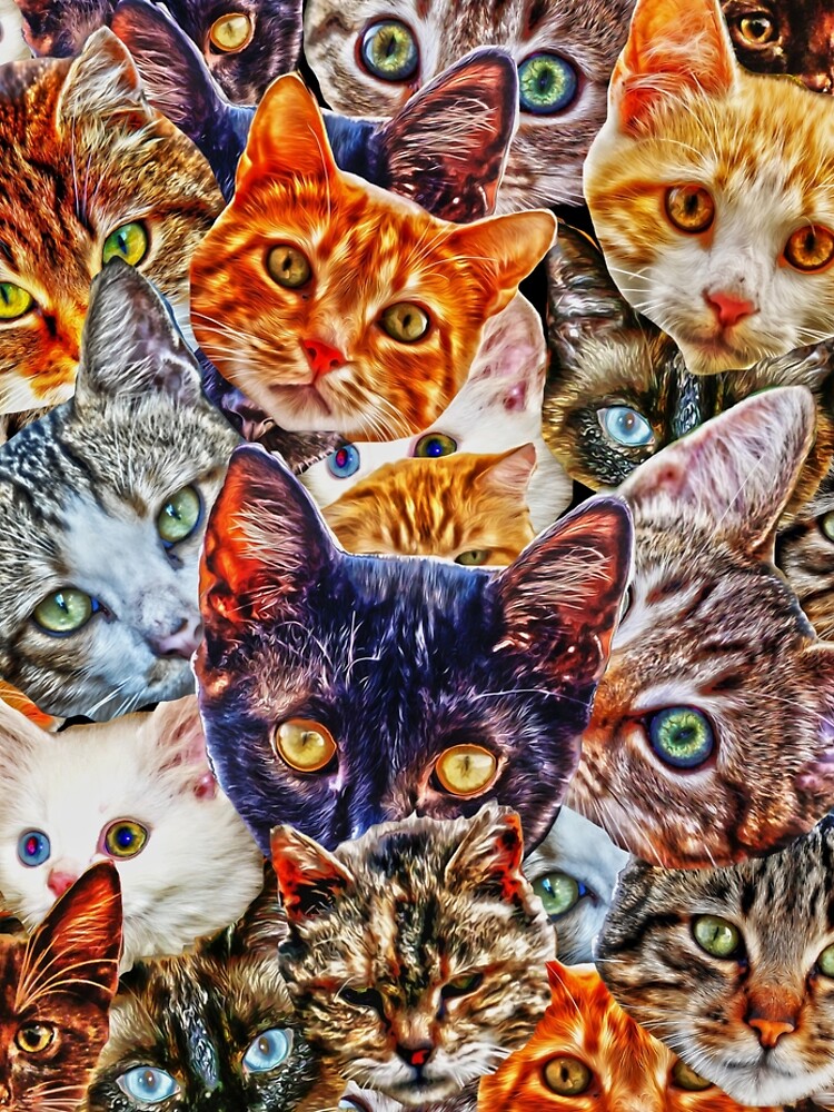 Cat Collage by Tr0y
