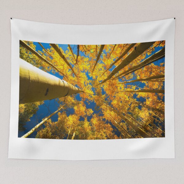 Item preview, Always Look Up designed and sold by RondaKimbrow.