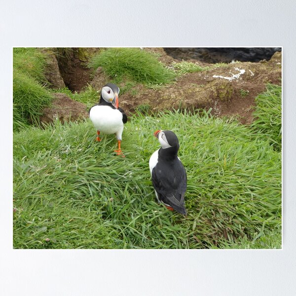 Item preview, Scottish puffin standoff designed and sold by Theconkertree.