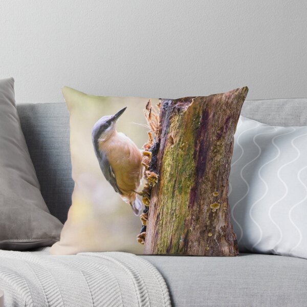 Item preview, Nuthatch Bird (Sitta europaea) designed and sold by Rob Cole Photography.