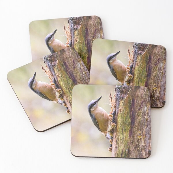 Item preview, Nuthatch Bird (Sitta europaea) designed and sold by Rob Cole Photography.