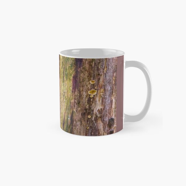 Item preview, Nuthatch Bird (Sitta europaea) designed and sold by Rob Cole Photography.