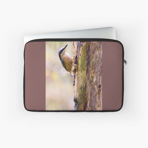 Item preview, Nuthatch Bird (Sitta europaea) designed and sold by Rob Cole Photography.
