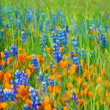 Artwork thumbnail, Spring by Kimberly Kay Spies