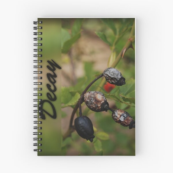 Item preview, decaying rosehips designed and sold by TJHinako.