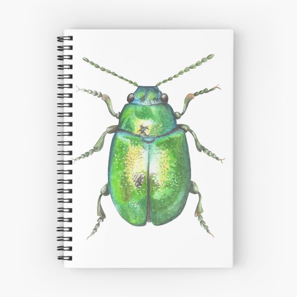 Item preview, Dock Beetle Painting designed and sold by Theodora Gould.