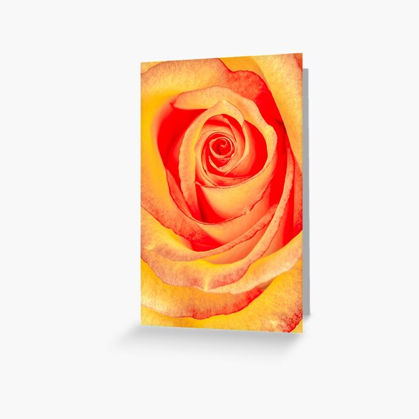 Rose Labyrinth Greeting Card