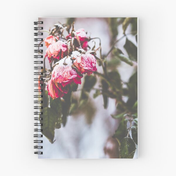 Item preview, Frozen red roses designed and sold by Jukka Heilimo.