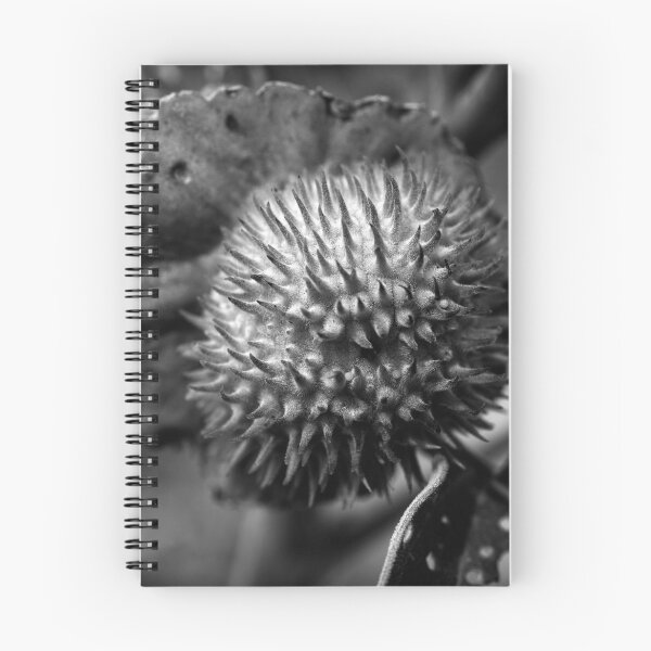 Artikelvorschau, Botanische Abstracts 3 entworfen und verkauft von Karl Eschenbach.