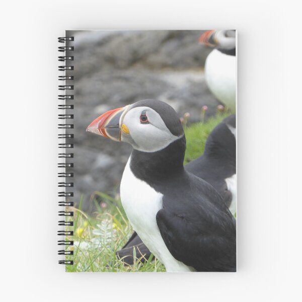 Item preview, A circus of puffins designed and sold by Theconkertree.